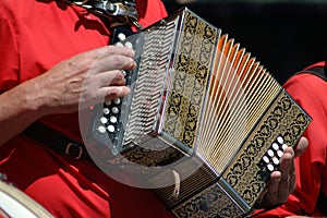 Accordian player