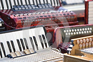Accordion musical instruments