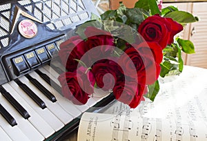 accordion and red roses photo