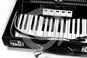 Accordion on a white background
