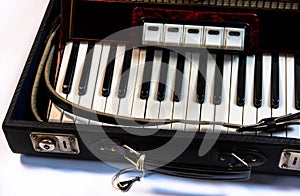 Accordion on a white background photo