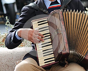 Accordionist accordian play playing stock, photo, photograph, image, picture