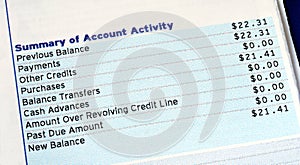 Account activity of a credit card bill