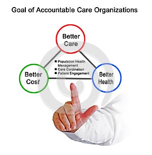 Accountable Care Organizations