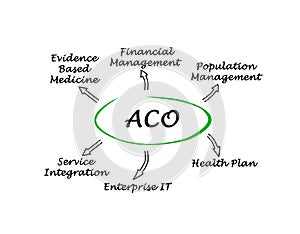 Accountable Care Organizations