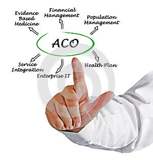 Accountable Care Organizations photo