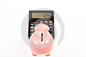 Accounting business. Piggy bank symbol money savings. Investments concept. Piggy bank pig and calculator. Taxes and