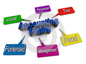 Accounting fields