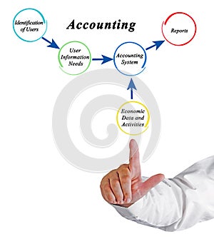 Accounting System: Inputs and Output