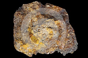Accumulation of fossilized paleofauna in limestone rock on a black background