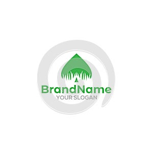 Ace Grass Logo Design Vector