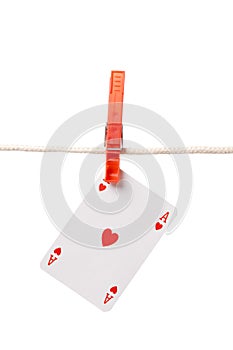 Ace hanging on clothesline