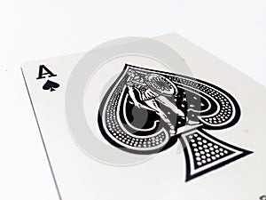 Ace Pikes / Spades Card with White Background