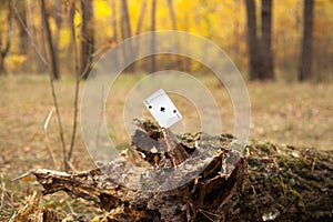 Ace of Spades card in the forest