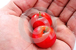 Acerola hand photo