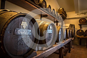 Acetaia - balsamic vinegar barrels of Modena photo
