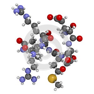 Acetyl hexapeptide-3 (argireline) molecule. 3D rendering.  Peptide fragment of SNAP-25. Used in cosmetics to treat wrinkles. Atoms