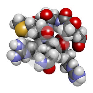 Acetyl hexapeptide-3 (argireline) molecule. 3D rendering.  Peptide fragment of SNAP-25. Used in cosmetics to treat wrinkles. Atoms