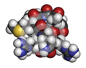 Acetyl hexapeptide-3 (argireline) molecule. Peptide fragment of SNAP-25. Used in cosmetics to treat wrinkles. Atoms are