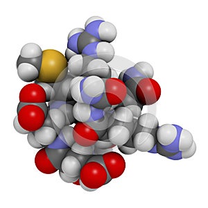 Acetyl hexapeptide-3 (argireline) molecule. 3D rendering.  Peptide fragment of SNAP-25. Used in cosmetics to treat wrinkles. Atoms photo