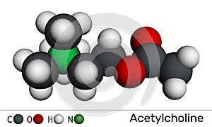 Acetylcholine, ACh molecule. It is parasympathomimetic neurotransmitter, vasodilator agent, hormone, human metabolite. Molecular