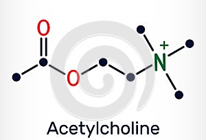 Acetylcholine, ACh molecule. It is parasympathomimetic neurotransmitter, vasodilator agent, hormone, human metabolite. Skeletal