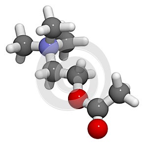 Acetylcholine (ACh) neurotransmitter, molecular model photo