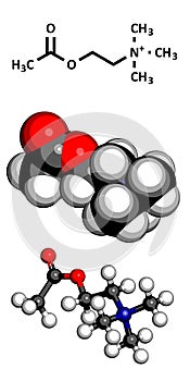 Acetylcholine (ACh) neurotransmitter, molecular model photo