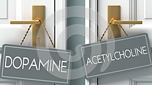 Acetylcholine or dopamine as a choice in life - pictured as words dopamine, acetylcholine on doors to show that dopamine and