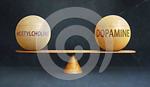 Acetylcholine and Dopamine in balance - a metaphor showing the importance of two aspects of life staying in equilibrium to create