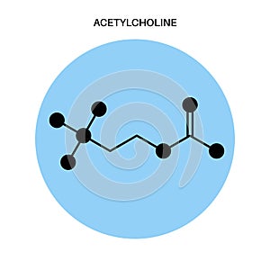 Acetylcholine formula icon