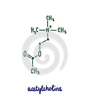 Acetylcholine hand drawn vector formula chemical structure lettering blue green