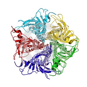 Acetylcholine receptor isolated on white background photo