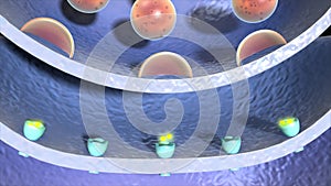 Acetylcholine release