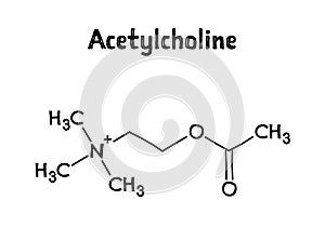 Acetylcholine structural formula of molecular structure