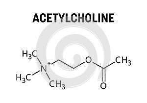 Acetylcholine structural formula of molecular structure photo