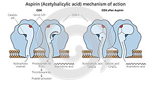 acetylsalicylic acid action diagram medical scienc photo