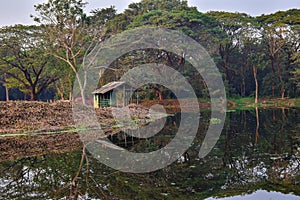 The Acharya Jagadish Chandra Bose Indian Botanic Garden pond reflecting CBD skyscrapers surrounded by green exotic trees