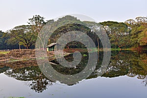 The Acharya Jagadish Chandra Bose Indian Botanic Garden pond reflecting CBD skyscrapers surrounded by green exotic trees