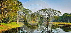 Acharya Jagadish Chandra Bose Indian Botanic Garden, Shibpur, Howrah, Kolkata, India