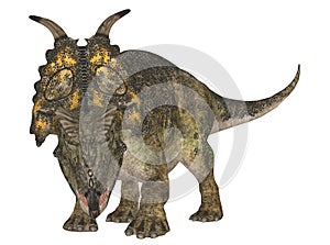 Achelousaurus