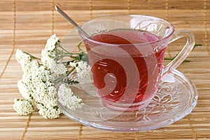 Achillea millefolium tea photo