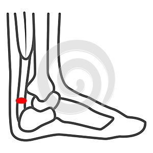 Achilles heel thin line icon, Human diseases concept, leg with a sore ankle sign on white background, human feet with