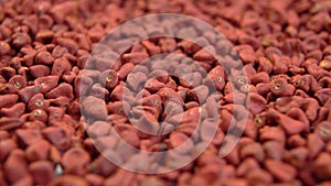 Achiote seeds. Annatto grains. Red natural culinary dye for cooking. Mexican seasoning.