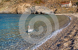 Achla beach, Andros,  Cyclades, Greece