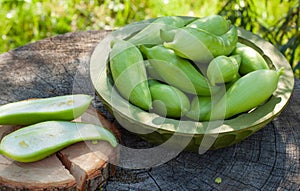 Achocha, Cyclanthera pedata healthy vegetables native to Mexico