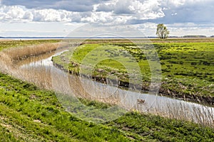 Achterwasser on the island of Usedom