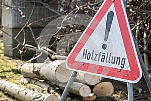 Achtung HolzfÃÂ¤llung im FrÃÂ¼hling