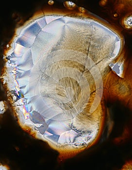 Acid Crystals Background