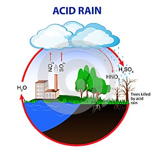 Acid rain